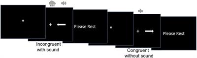 Neural correlates of the sound facilitation effect in the modified Simon task in older adults